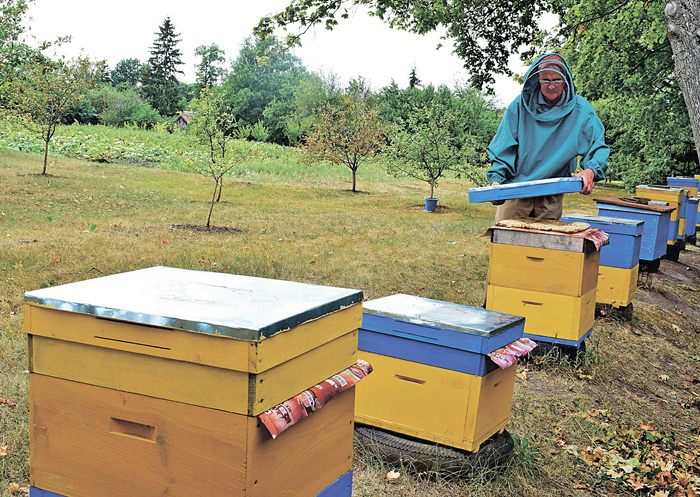 Для пасічника-початківця важливо одразу подружитися з бджолами